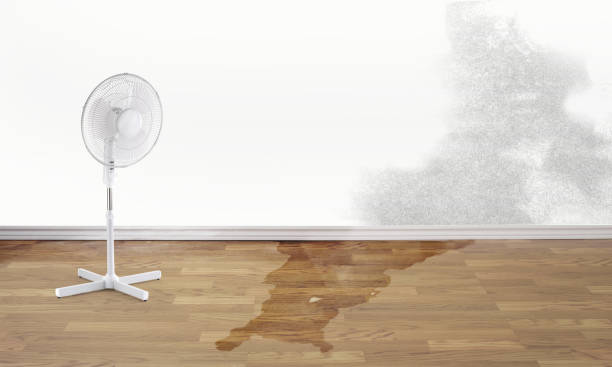 Best Water damage cleanup near me  in Sunnyside, WA