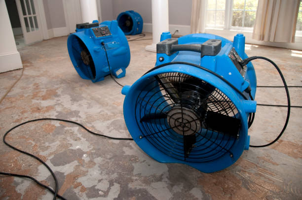 Best Water damage restoration near me  in Sunnyside, WA