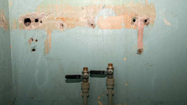 Best Water damage restoration experts  in Sunnyside, WA