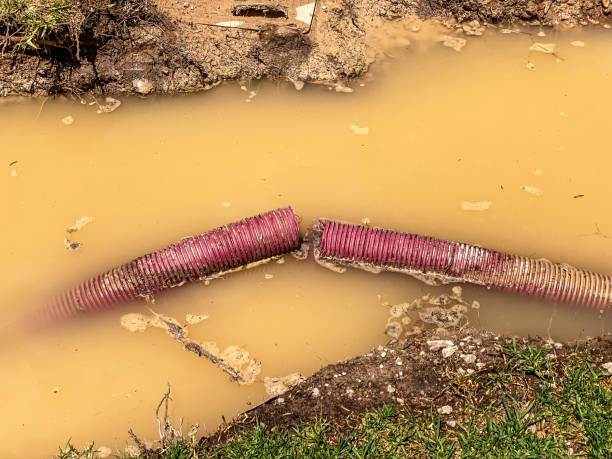 Best Local water damage restoration  in Sunnyside, WA