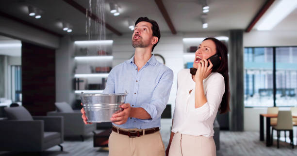 Best Ceiling water damage repair  in Sunnyside, WA