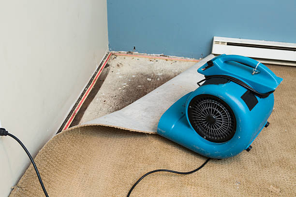 Water damage restoration mold remediation in Sunnyside, WA